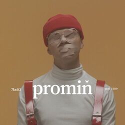 Cover of Promiň