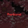 Phantasmal by Kupla album cover