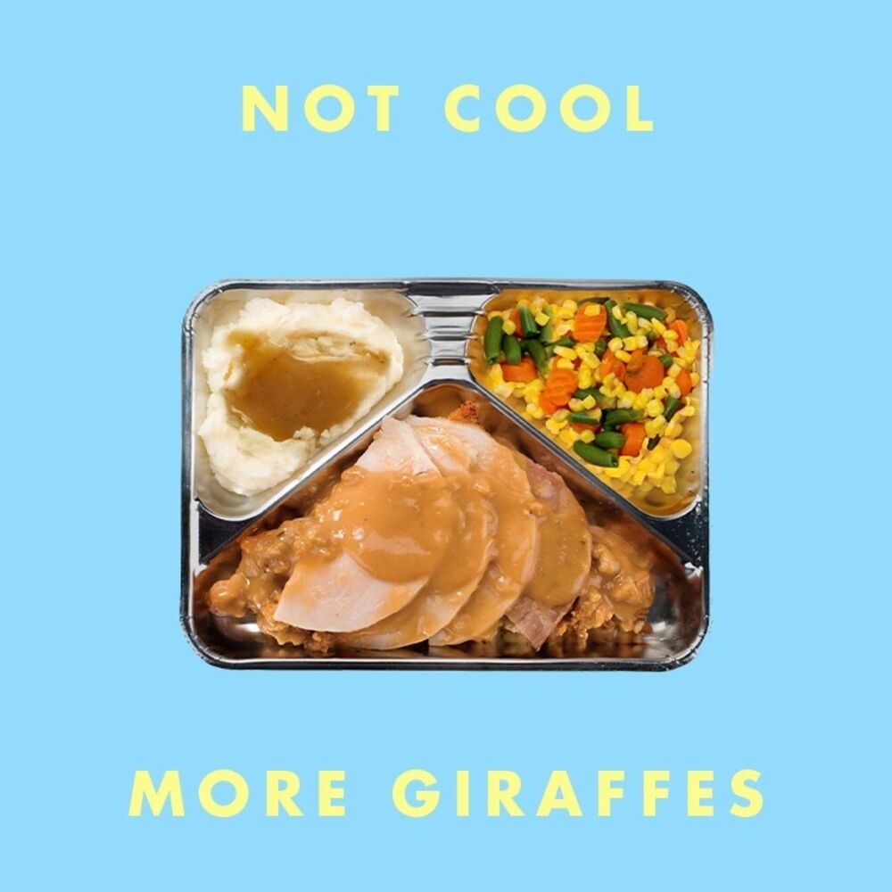 Picture of Not Cool