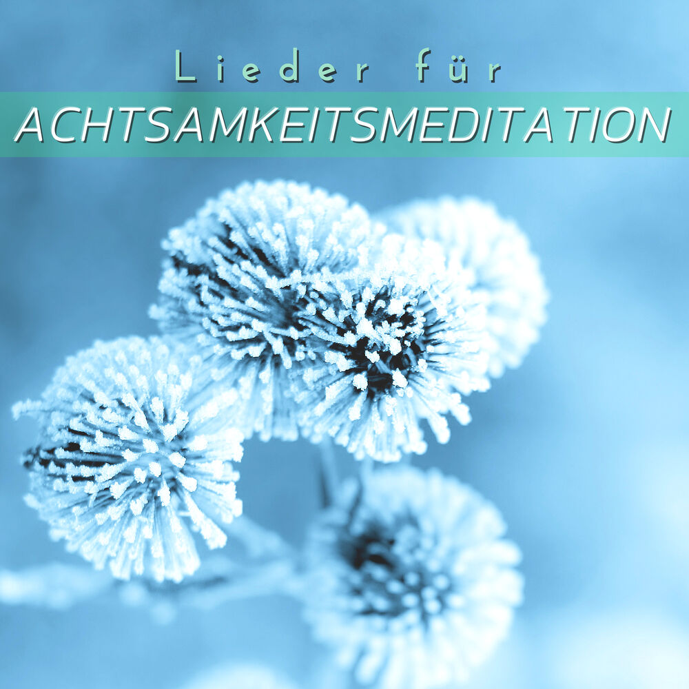 Picture of Lieder für Achtsamkeitsmeditation: Ruhige Musik für die Befreiung vom Selbst im Hier und Jetzt