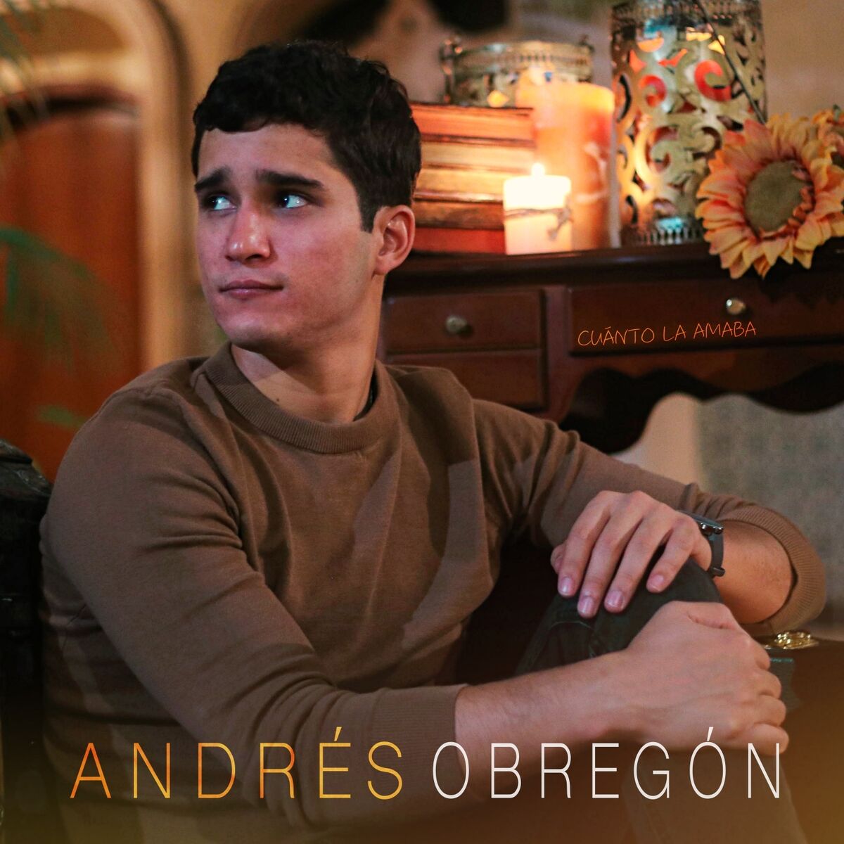 Album cover of Cuánto la Amaba