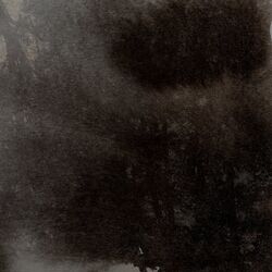 Cover of 4