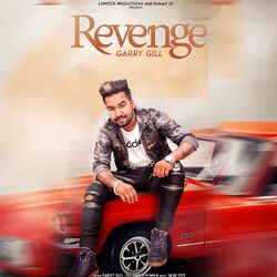 Cover of Revenge