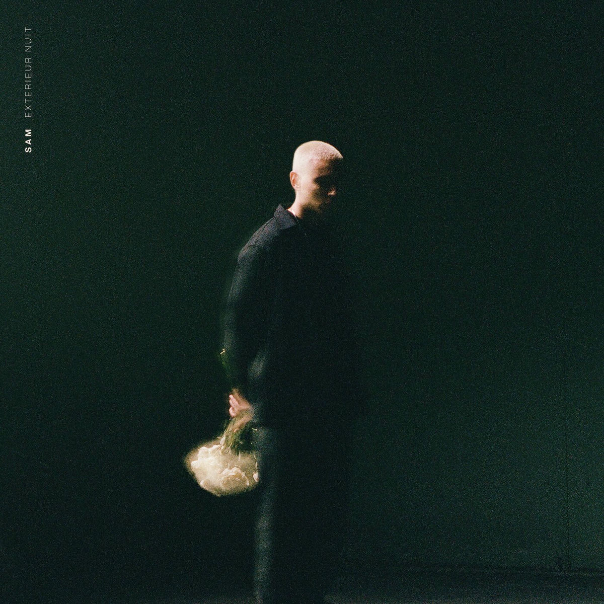 Album cover of NIGHTERLUDE