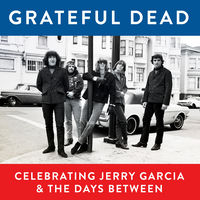 GratefulDead TwinkleLightJerry Garcia94年 200x200.jpg