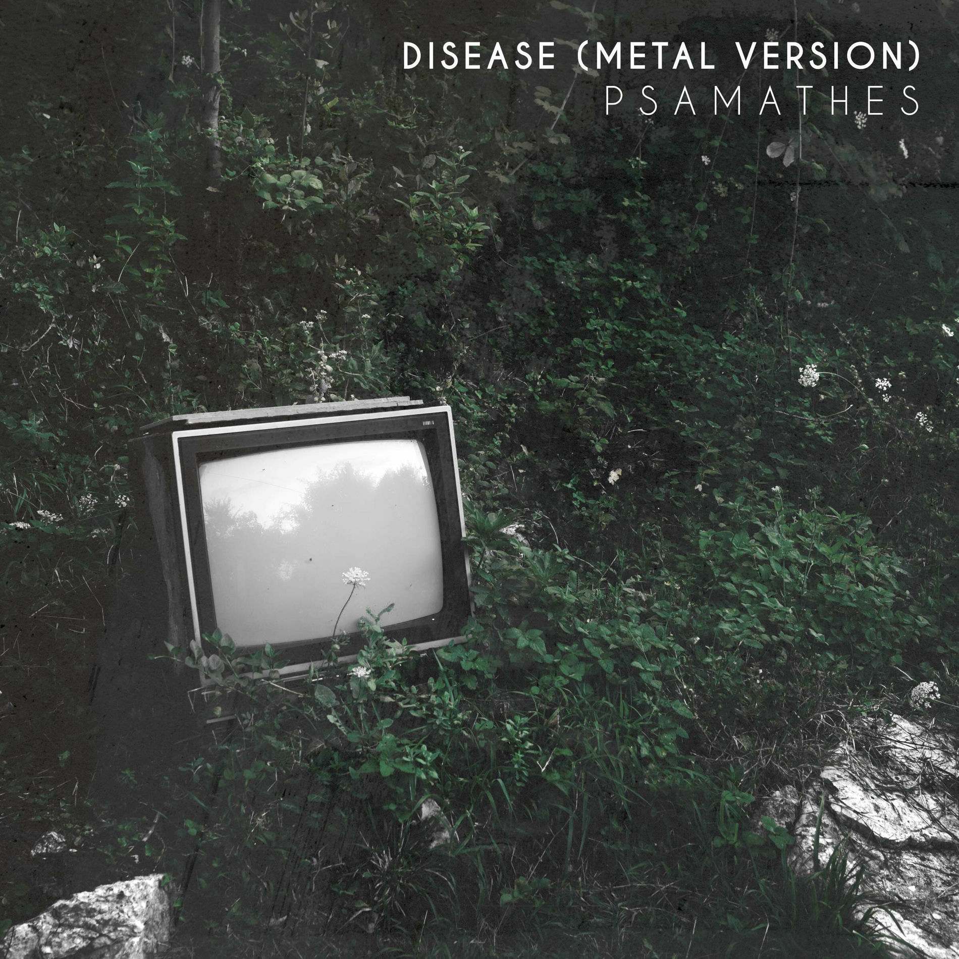 Album cover of Disease (Metal Version)