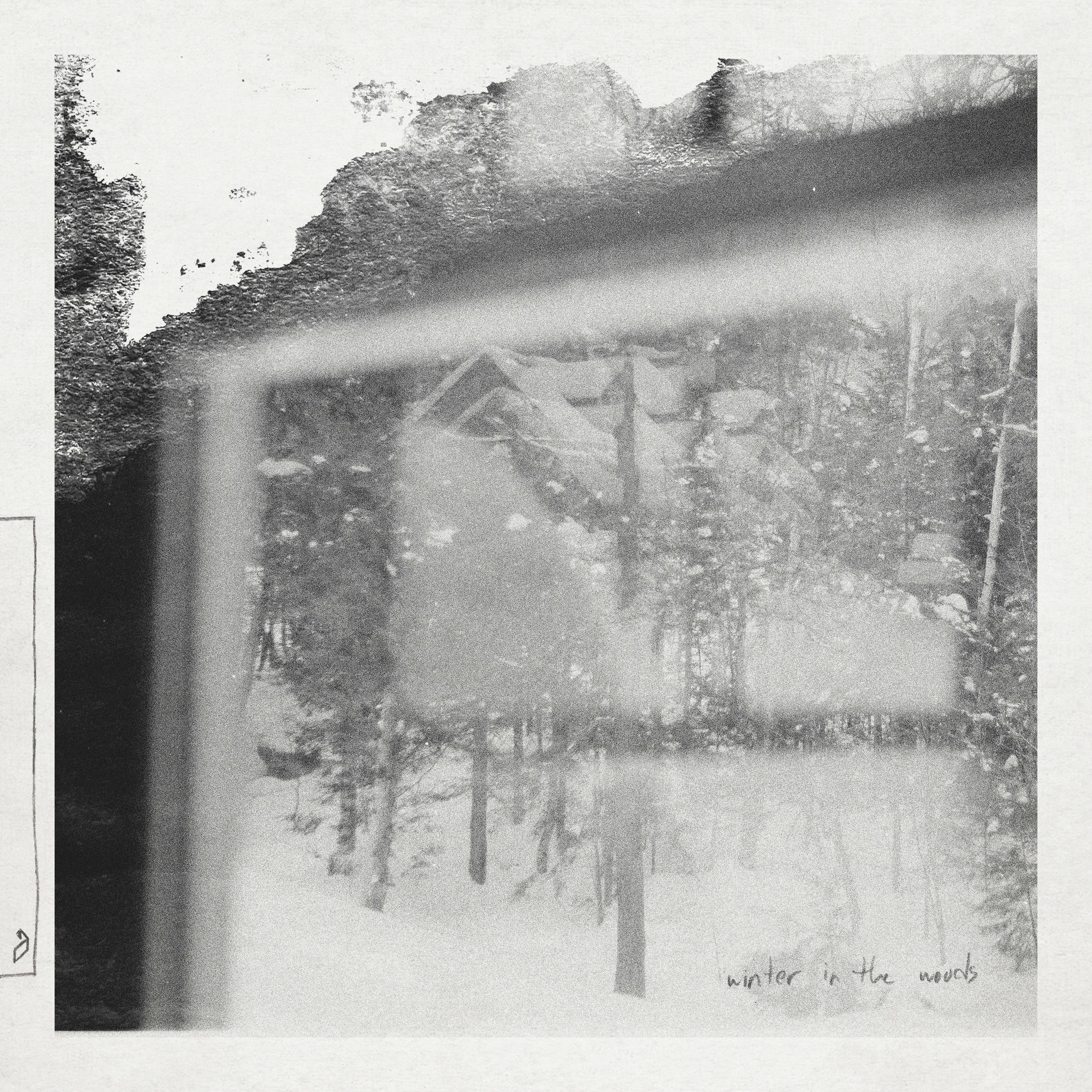 Album cover of Winter In The Woods