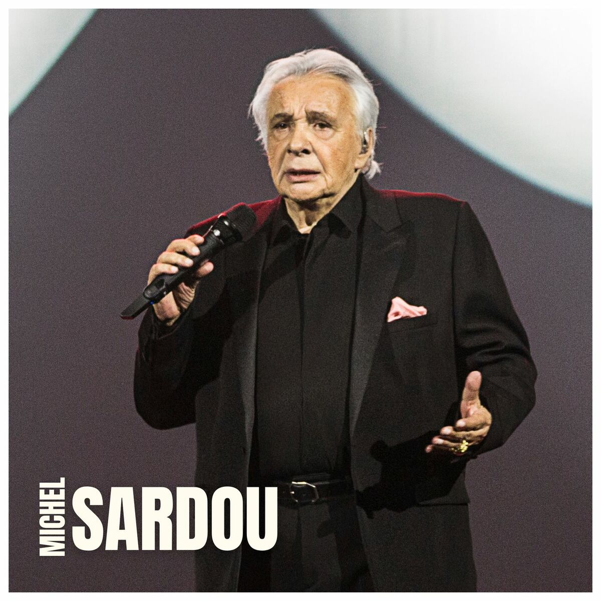 Album cover of Les chansons du concert