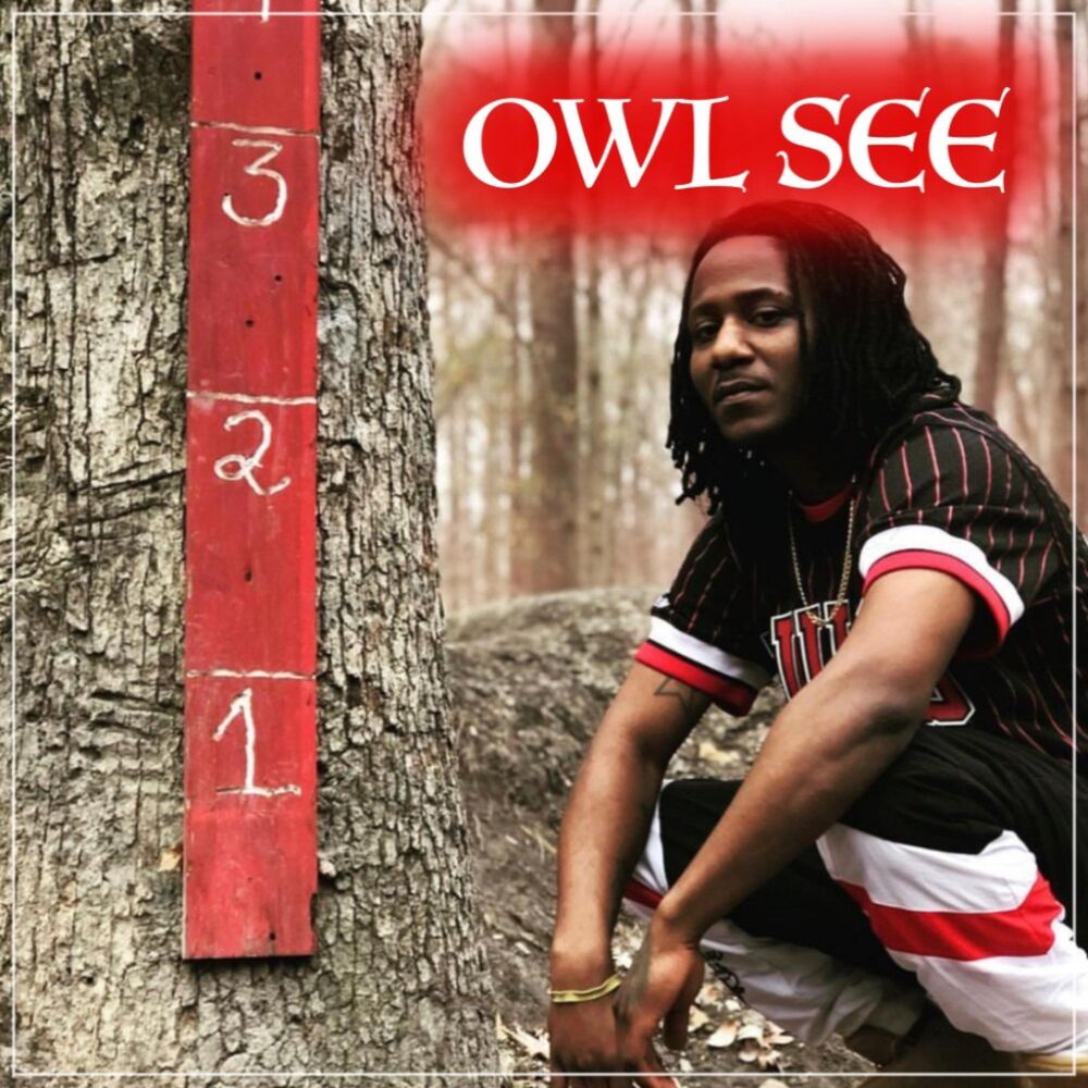 Picture of Owl See