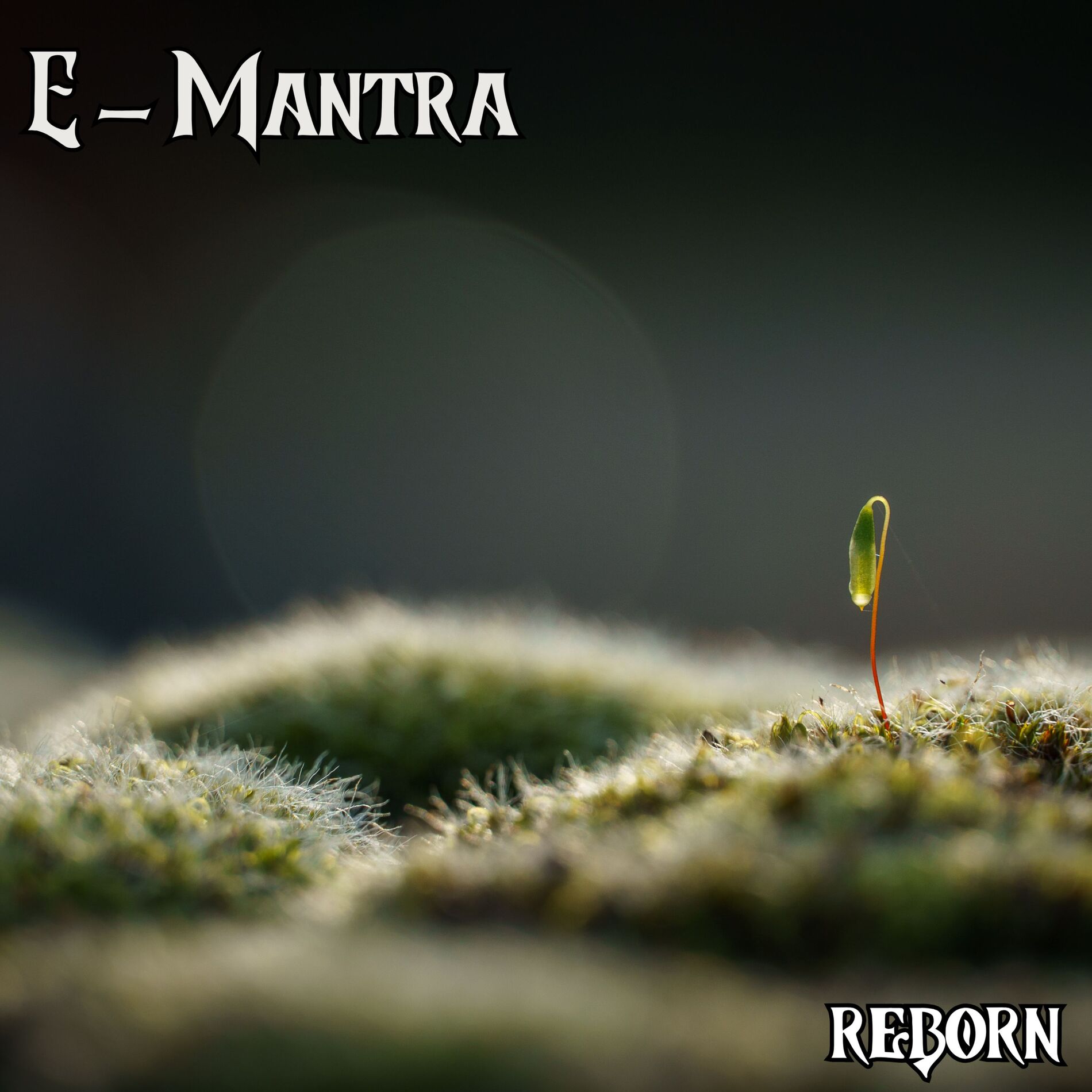 Album cover of Reborn