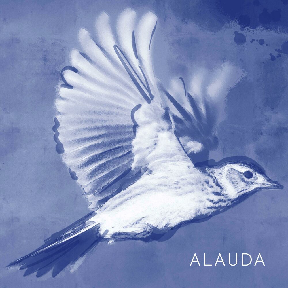 Picture of Alauda