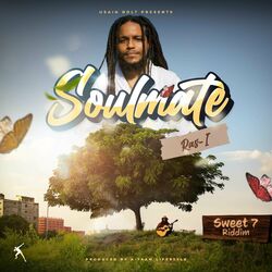 Cover of Soulmate