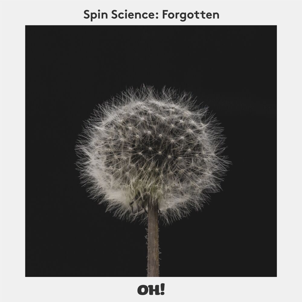 Picture of Forgotten