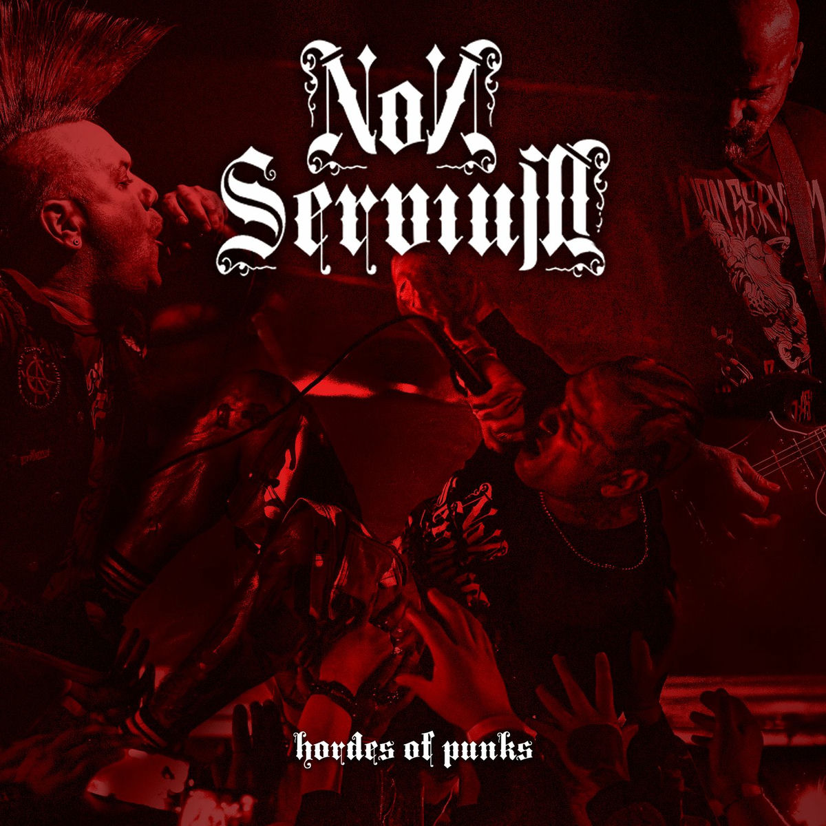 Album cover of Hordes of Punks