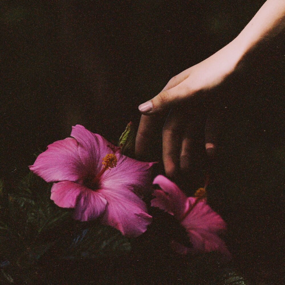 Picture of TOUCH