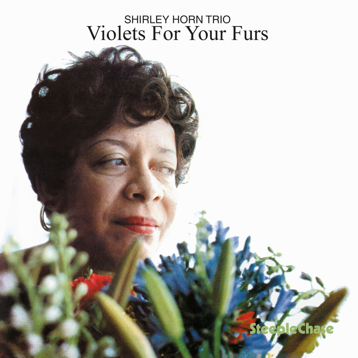 Album cover of Violets for Your Furs