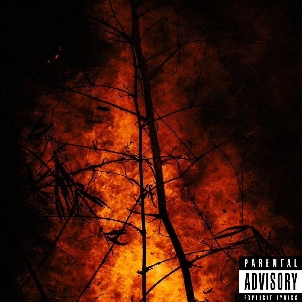 Picture of Branden (feat. envie & ArazBeats)