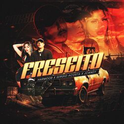 Freseito