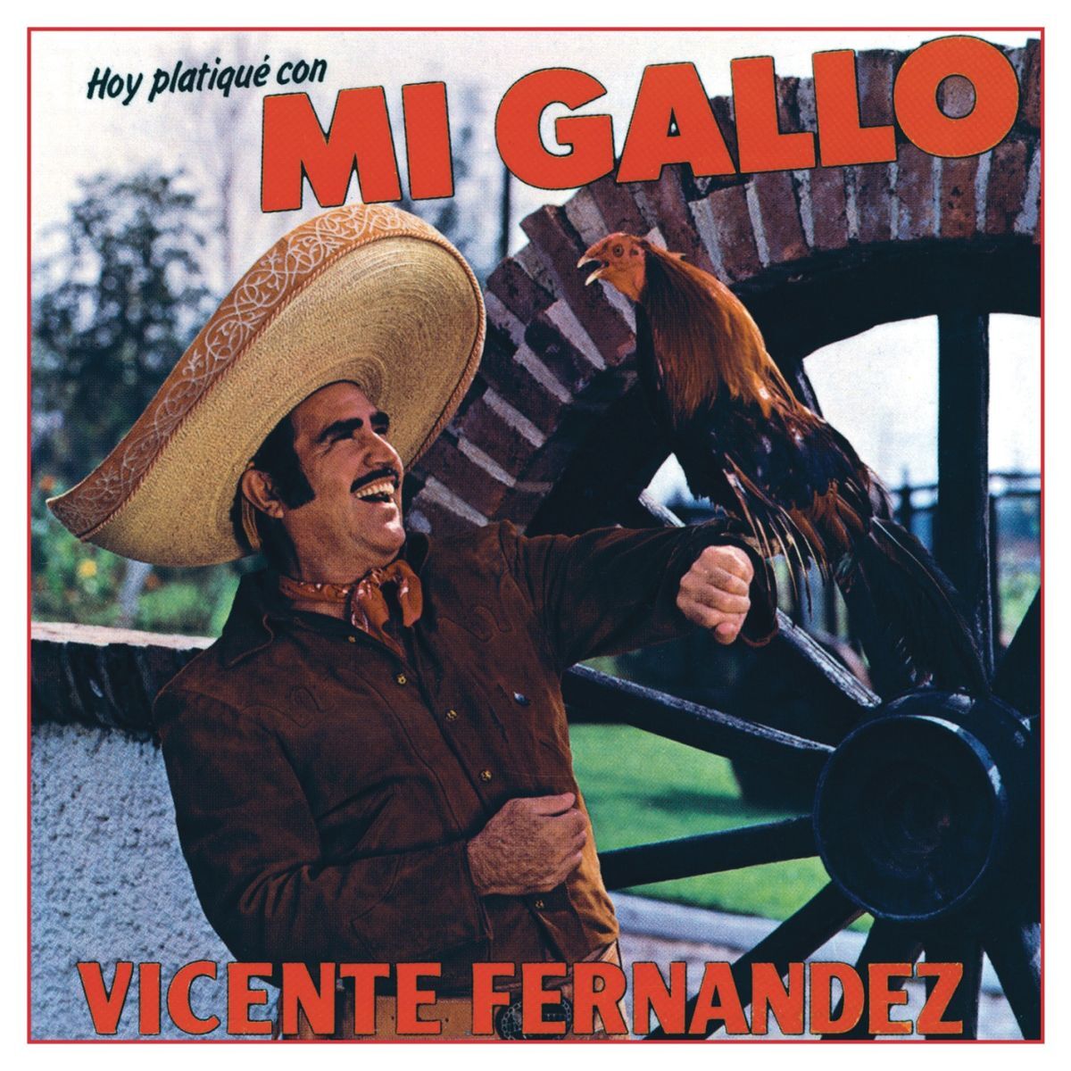 Album cover of Hoy Platiqué Con Mi Gallo