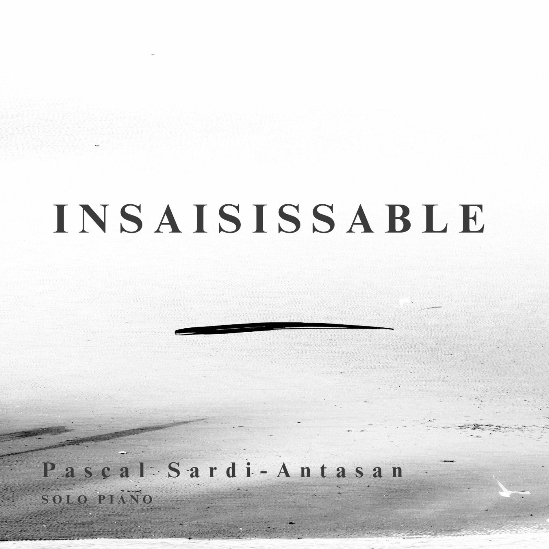 Album cover of Insaisissable