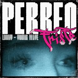 PERREO TRISTE (feat. SXNTYY)
