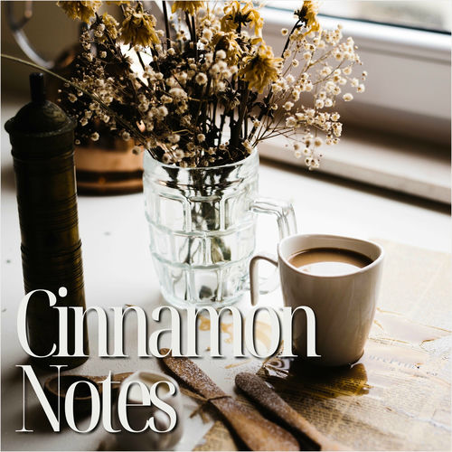 Cinnamon Notes: A Cup of Comfort
