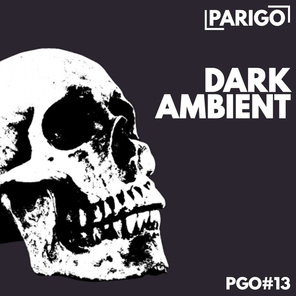 Picture of Dark Ambient (Parigo No. 13)