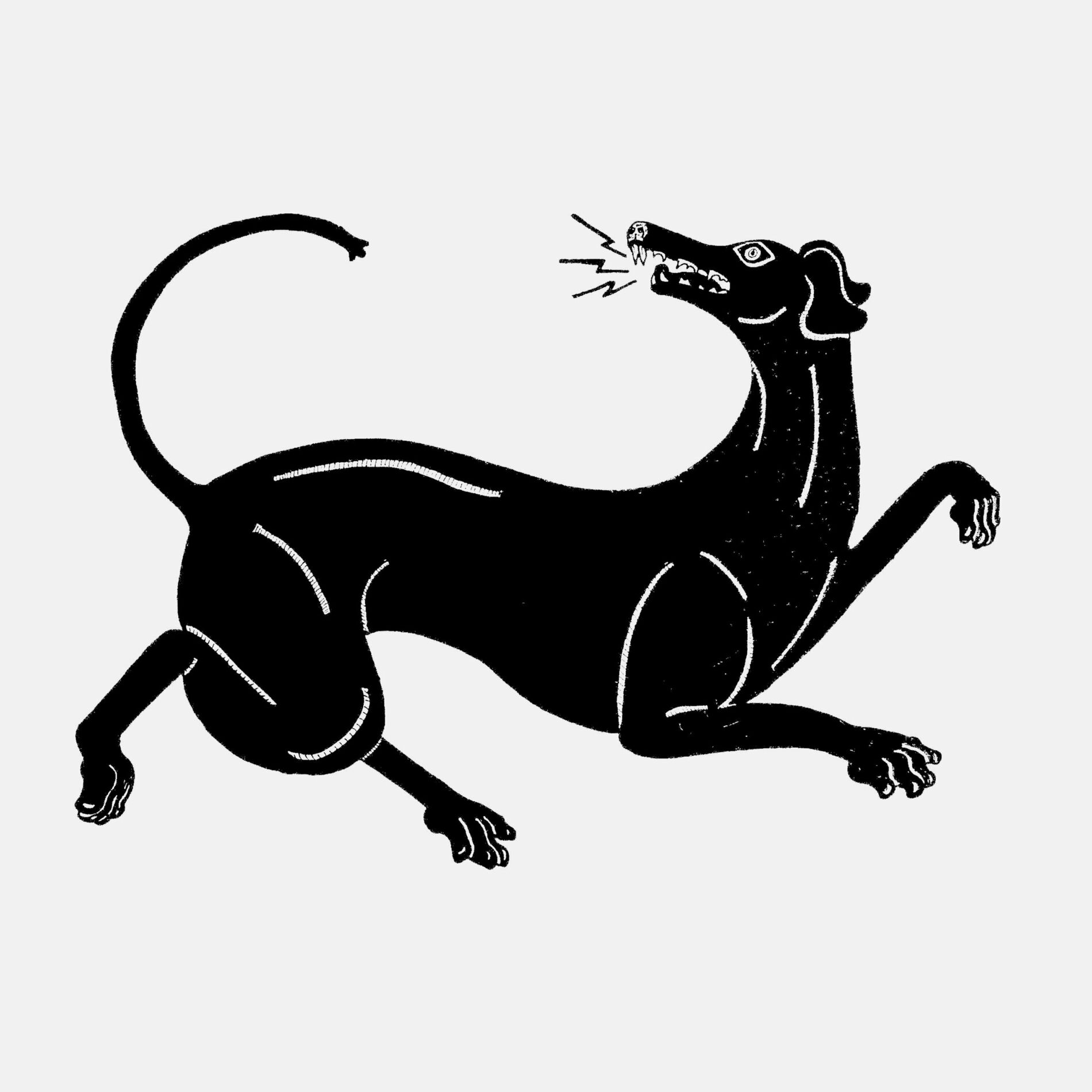 Album cover of BLACK DOG / WHITE HORSE