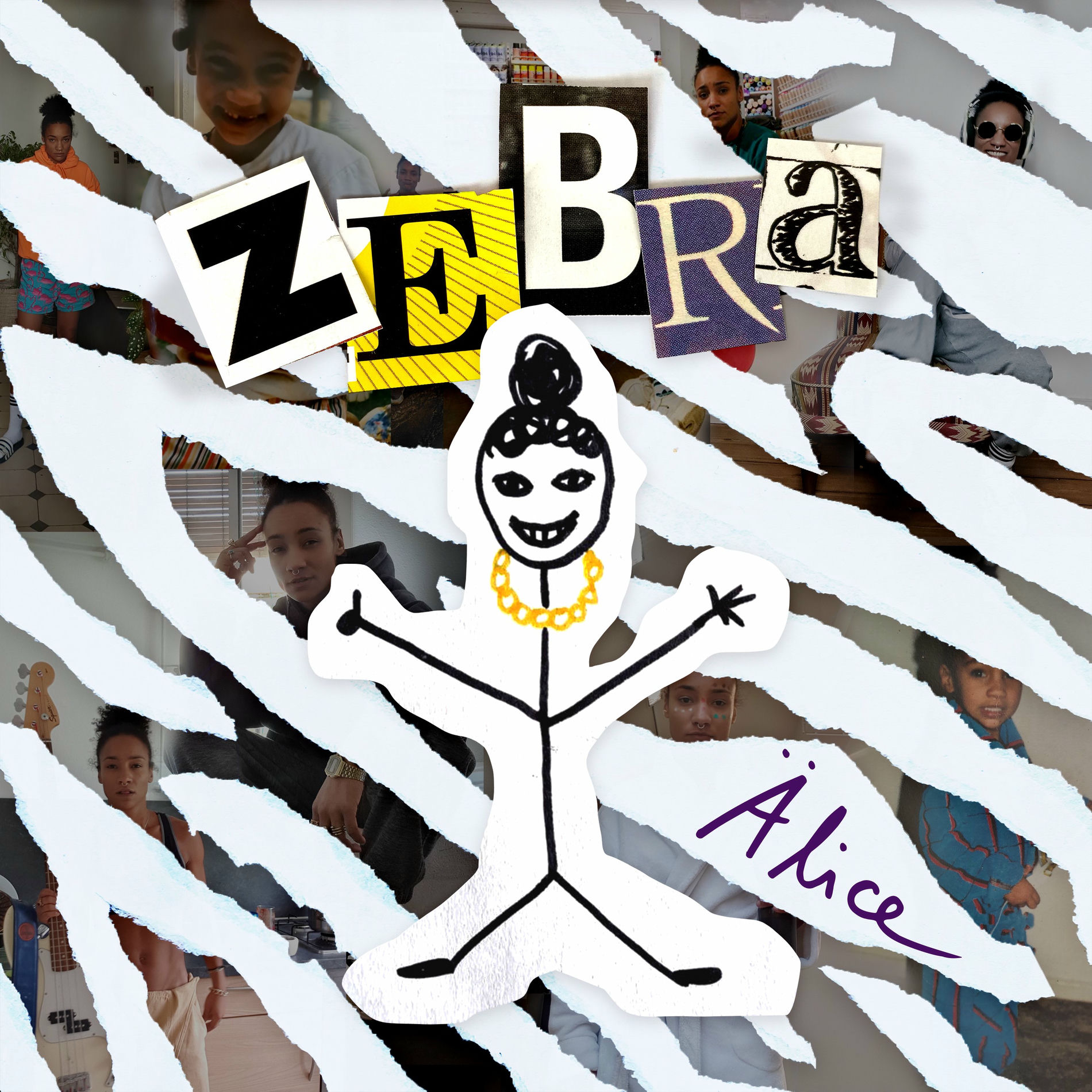 Album cover of ZEBRA