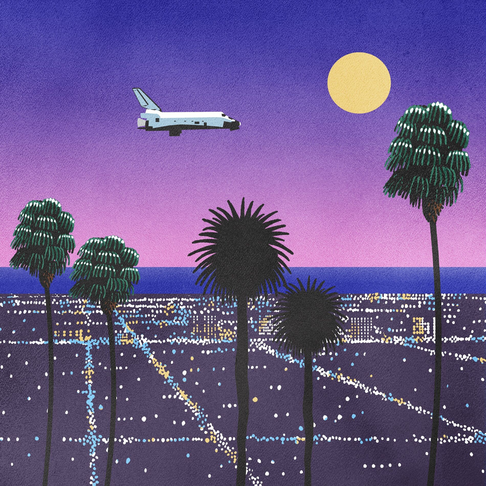 Album cover of Why they fly.