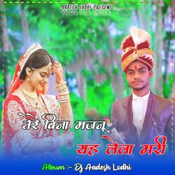 Cover of Tere Bina Majnu Ye Laila Mari