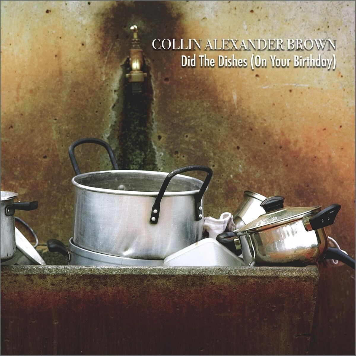 Album cover of Did the Dishes (On Your Birthday)