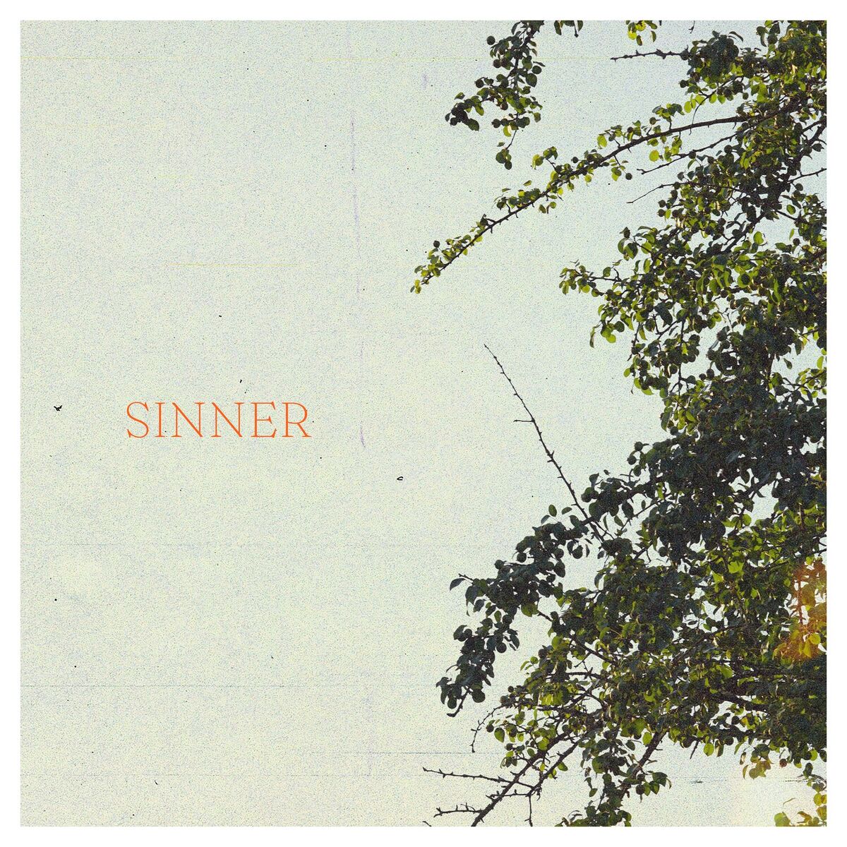 Album cover of Sinner