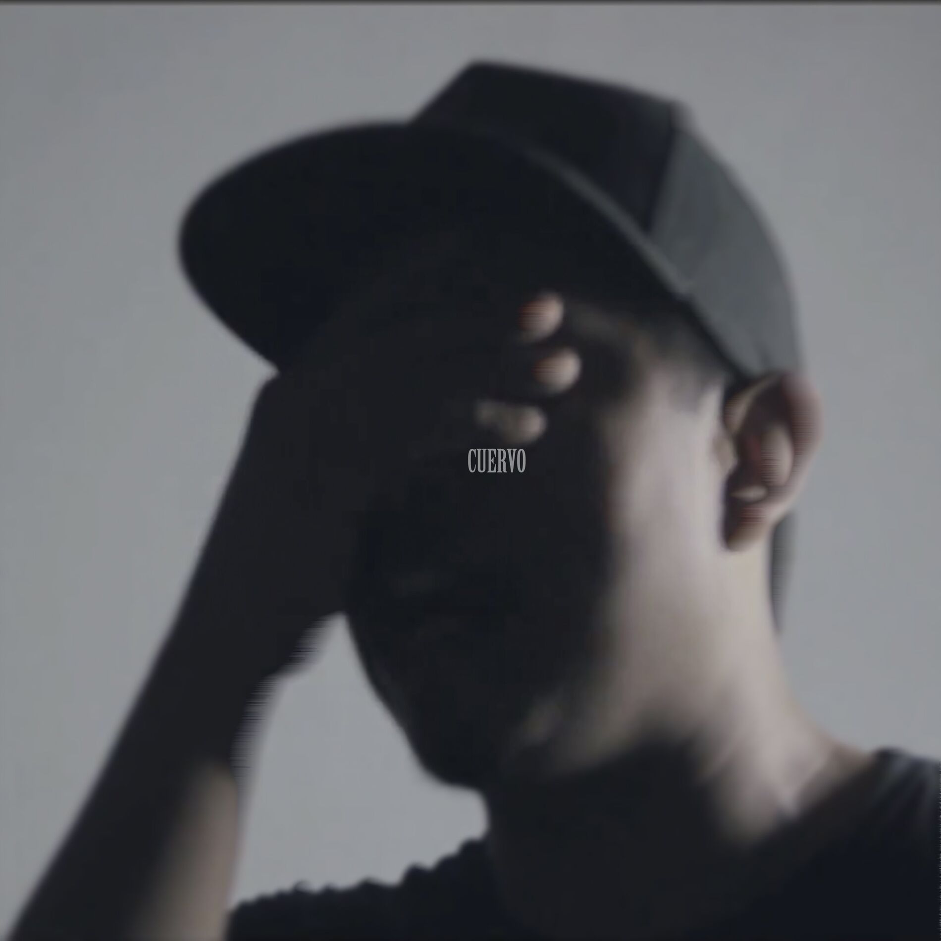 Album cover of Cuervo