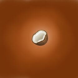 Cover of Coconutvibe