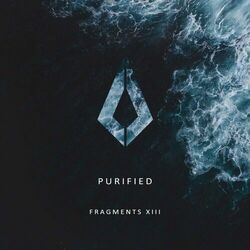 Cover of Purified Fragments XIII