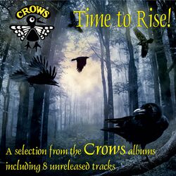 Cover of Time to Rise