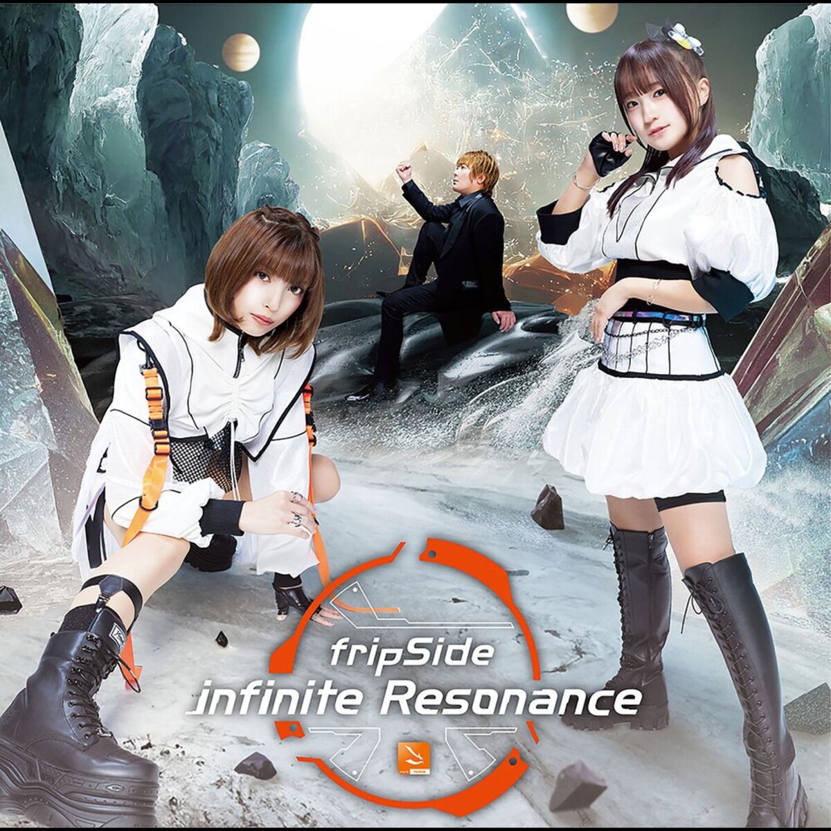 Album cover of Insoluble Snow