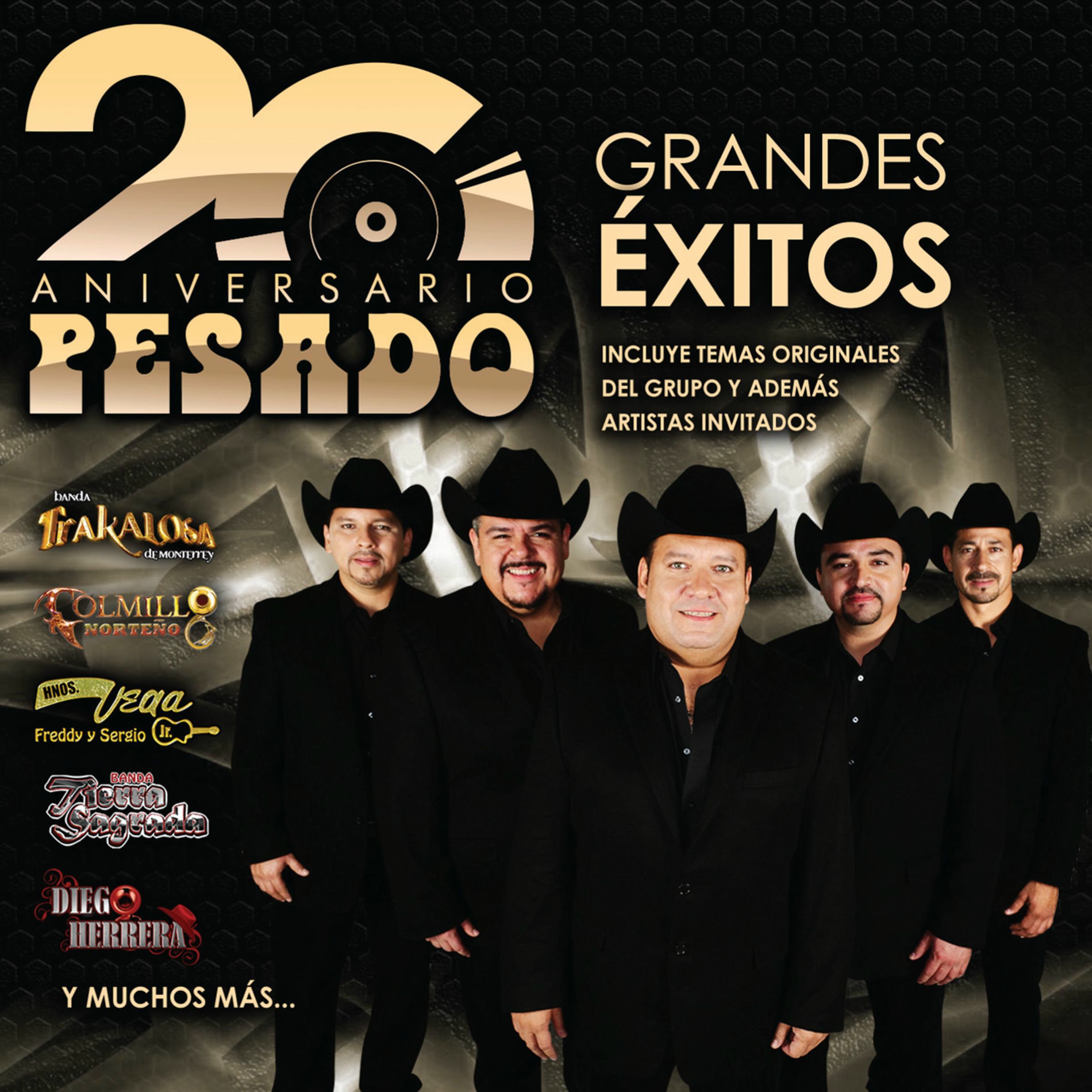 Album cover of Pesado - 20 Aniversario