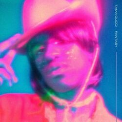 Cover of Fantasy