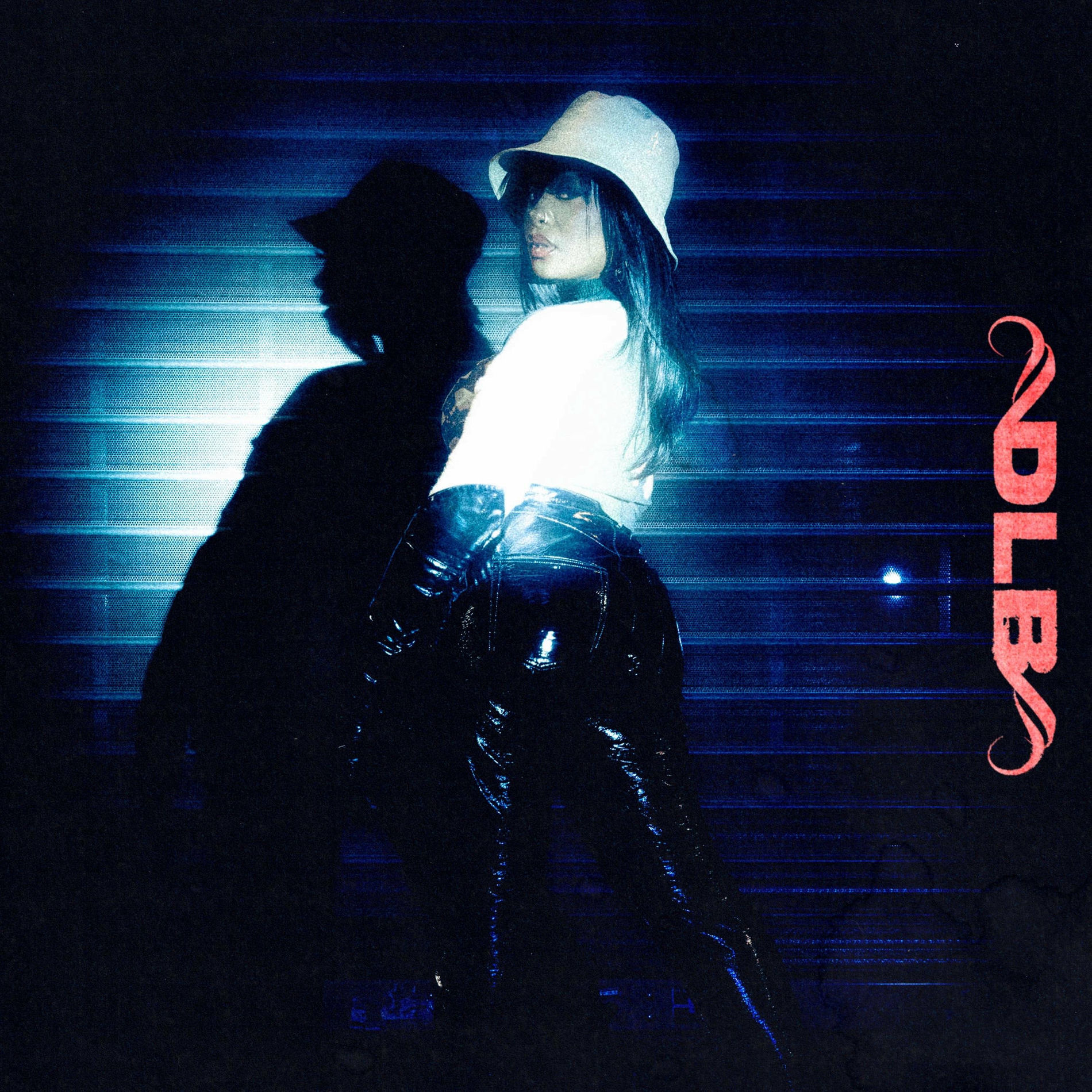 Album cover of DLB