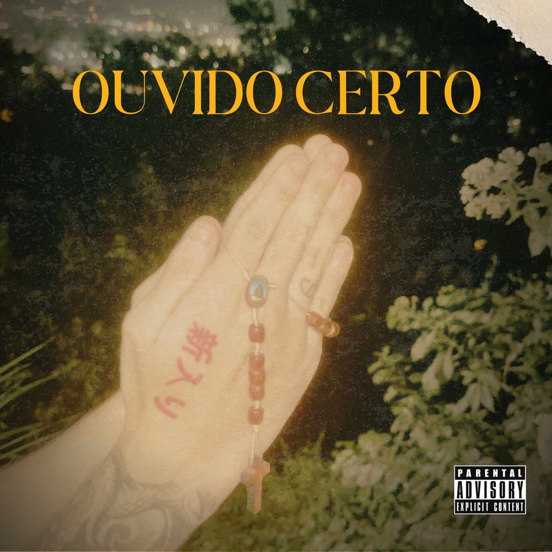 Album cover of Ouvido Certo