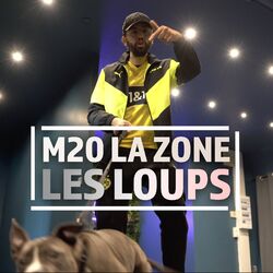Cover of Les loups