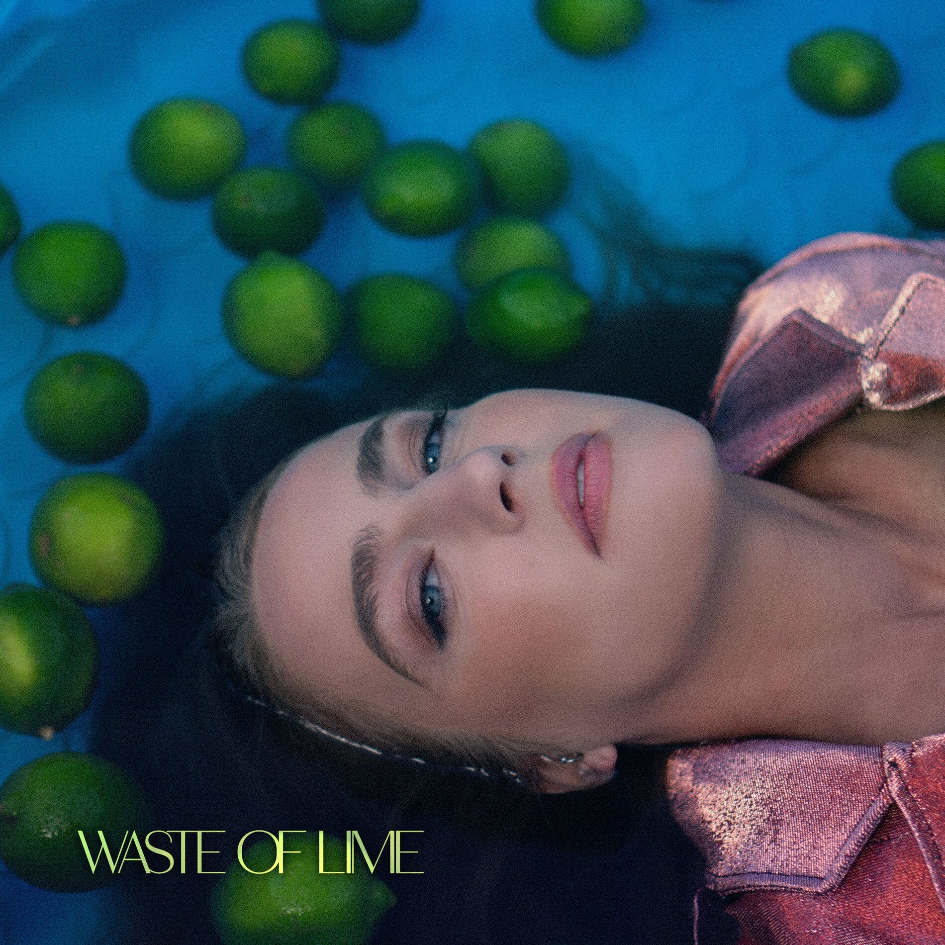 Album cover of Waste of Lime