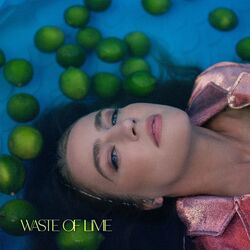 Cover of Waste of Lime