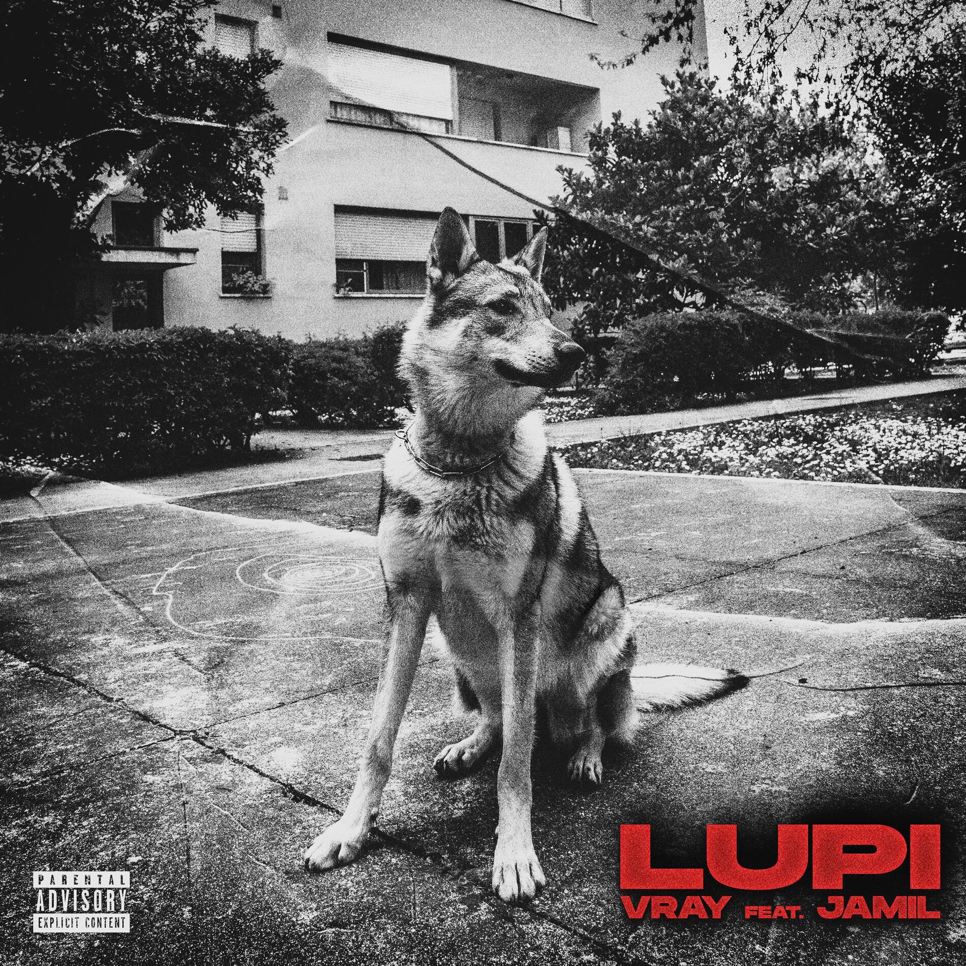 Album cover of Lupi