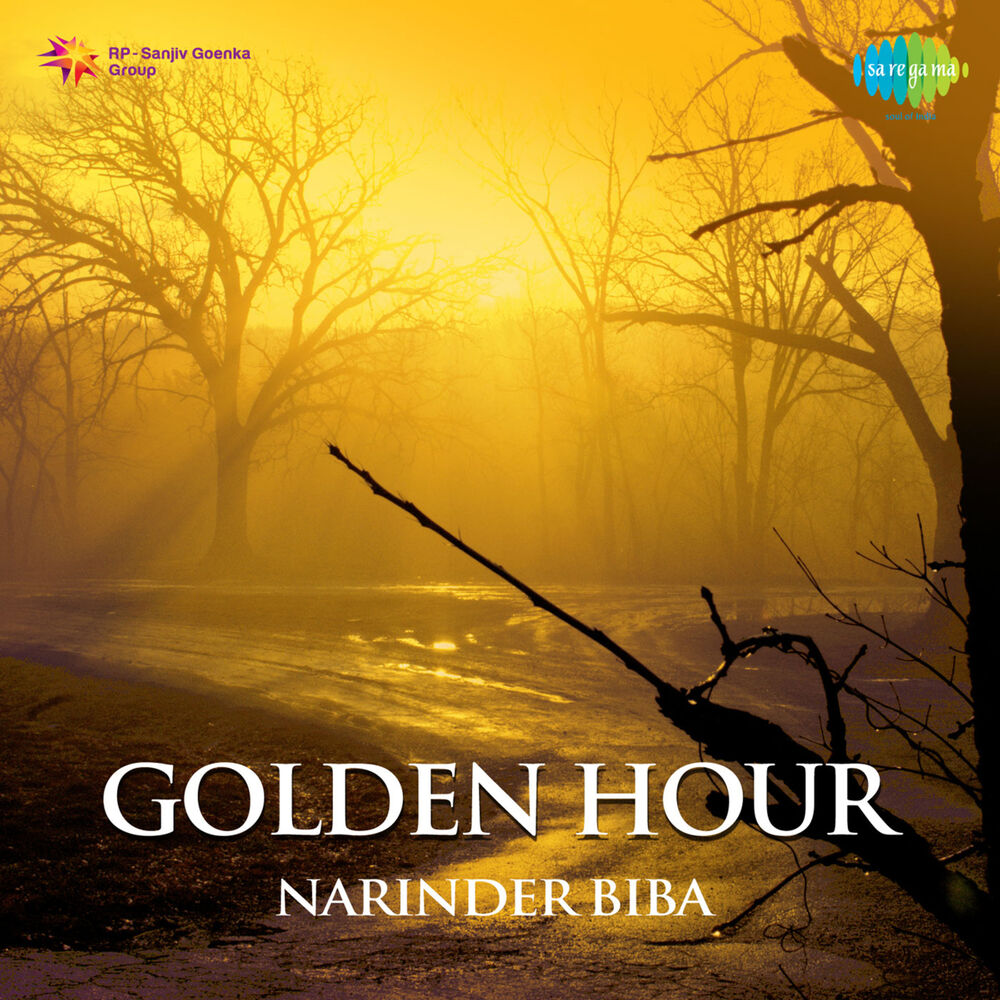 Picture of Golden Hour Narinder Biba