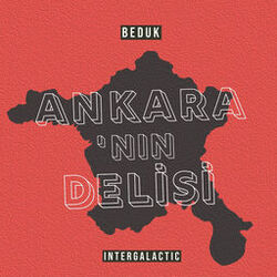 Cover of Ankara'nın Delisi