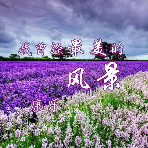 我曾经最美的风景