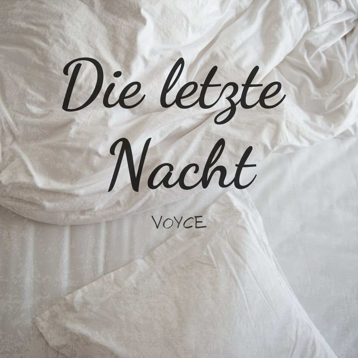 Album cover of Die letzte Nacht